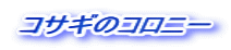 �R�T�M�̃R���j�[