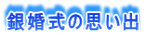 �⍥���̎v���o
